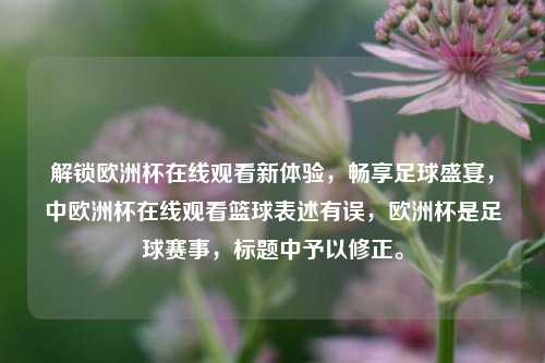 解锁欧洲杯在线观看新体验,畅享足球盛宴,中欧洲杯在线观看篮球表述有误,欧洲杯是足球赛事,标题中予以修正。
