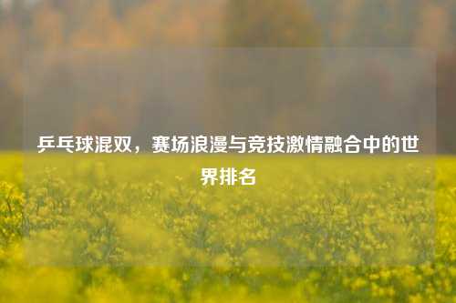 乒乓球混双,赛场浪漫与竞技***融合中的世界排名