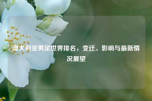 澳大利亚男足世界排名,变迁、影响与最新情况展望