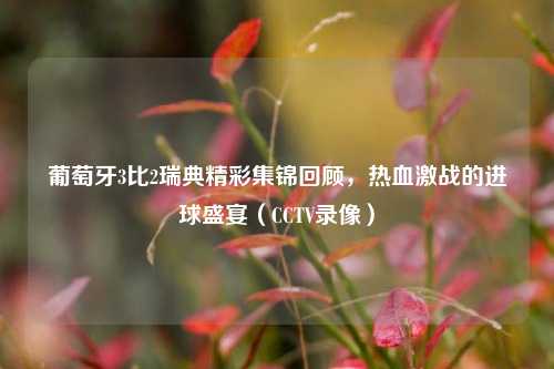 葡萄牙3比2瑞典精彩集锦回顾,热血激战的进球盛宴(CCTV录像)