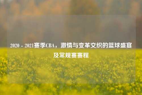 2020 - 2021赛季CBA,***与变革交织的篮球盛宴及常规赛赛程