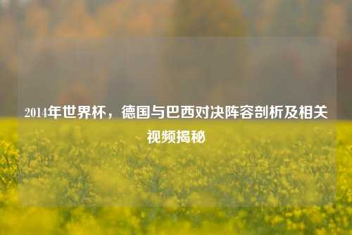 2014年世界杯,德国与巴西对决阵容剖析及相关视频揭秘