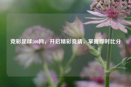 竞彩足球500网,开启精彩竞猜,掌握即时比分