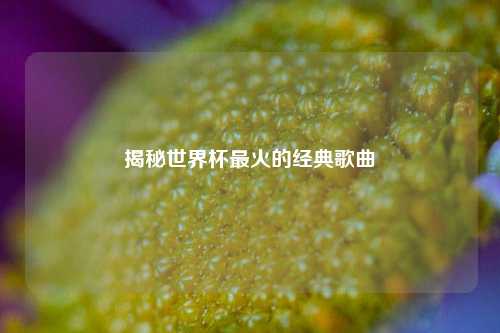 揭秘世界杯最火的经典歌曲