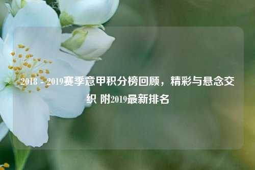 2018 - 2019赛季意甲积分榜回顾,精彩与悬念交织 附2019最新排名