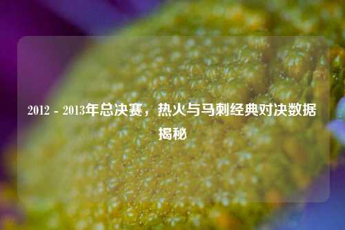 2012 - 2013年总决赛,热火与马刺经典对决数据揭秘