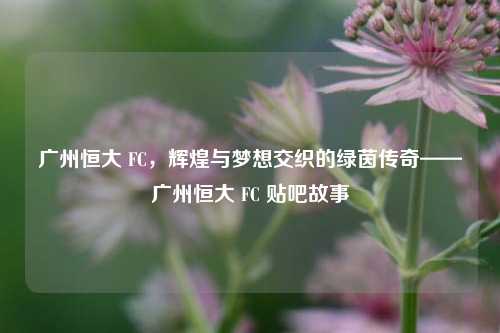 广州恒大 FC,辉煌与梦想交织的绿茵传奇——广州恒大 FC 贴吧故事