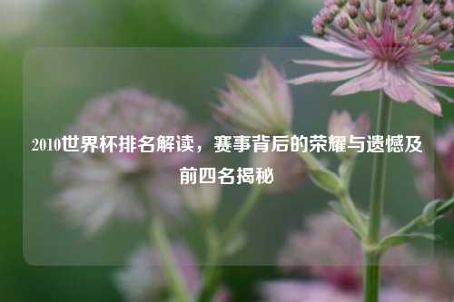 2010世界杯排名解读,赛事背后的荣耀与遗憾及前四名揭秘