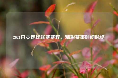 2021日本足球联赛赛程,精彩赛事时间脉络