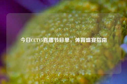 今日CCTV5直播节目单,体育盛宴指南