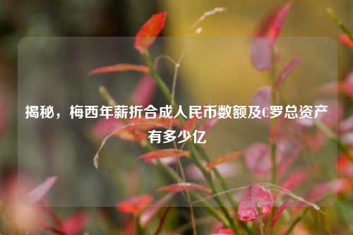 揭秘,梅西年薪折合成人民币数额及C罗总资产有多少亿