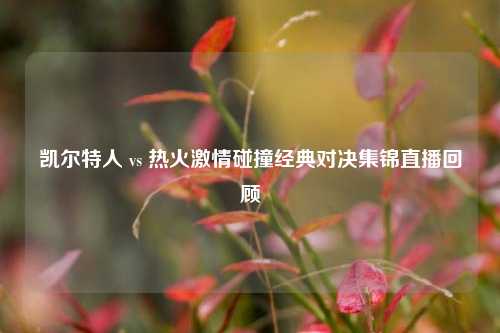 凯尔特人 vs 热火***碰撞经典对决集锦直播回顾