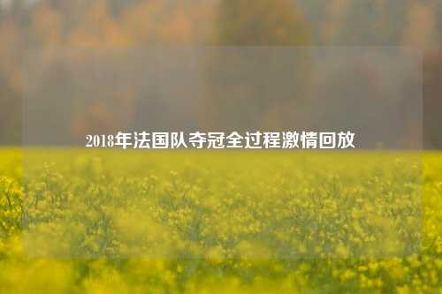 2018年法国队夺冠全过程***回放