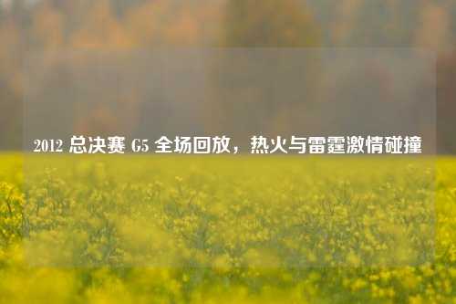 2012 总决赛 G5 全场回放,热火与雷霆***碰撞