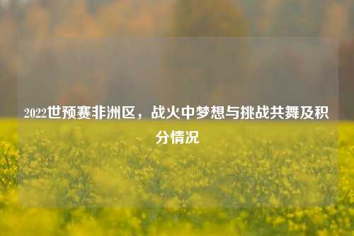 2022世预赛非洲区,战火中梦想与挑战共舞及积分情况