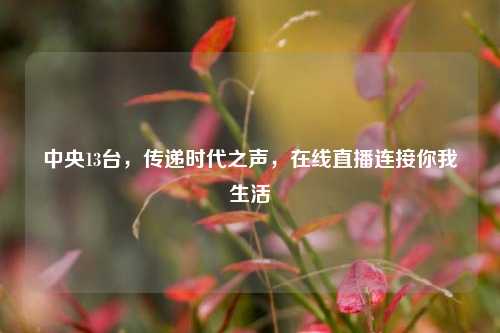 中央13台,传递时代之声,在线直播连接你我生活