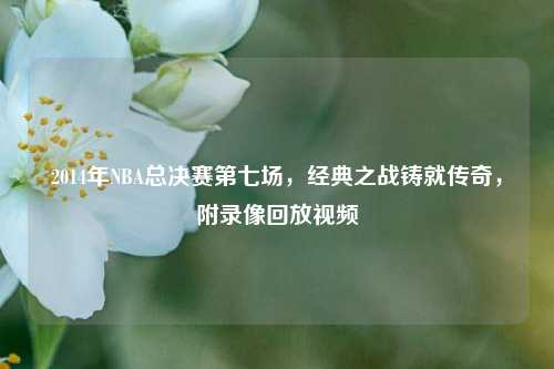2014年NBA总决赛第七场,经典之战铸就传奇,附录像回放视频