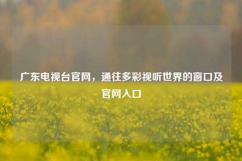 广东电视台官网,通往多彩视听世界的窗口及官网入口