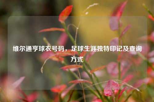 维尔通亨球衣号码,足球生涯独特印记及查询方式