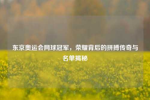 东京奥运会网球冠军,荣耀背后的拼搏传奇与名单揭秘