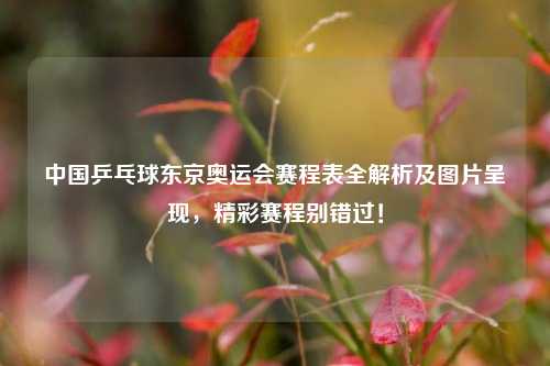 中国乒乓球东京奥运会赛程表全解析及图片呈现,精彩赛程别错过!