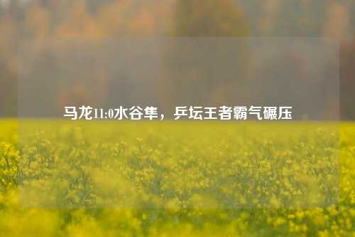 马龙11:0水谷隼,乒坛王者霸气碾压