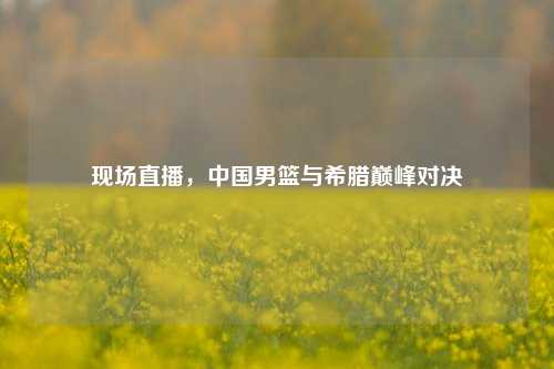 现场直播,中国男篮与希腊巅峰对决
