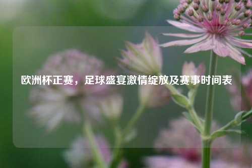 欧洲杯正赛,足球盛宴***绽放及赛事时间表