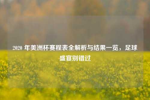 2020 年美洲杯赛程表全解析与结果一览,足球盛宴别错过