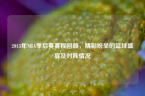 2013年NBA季后赛赛程回顾,精彩纷呈的篮球盛宴及对阵情况