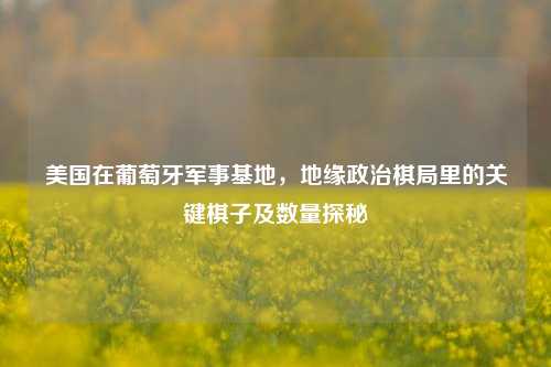 美国在葡萄牙军事基地,地缘政治棋局里的关键棋子及数量探秘
