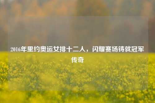 2016年里约奥运女排十二人,闪耀赛场铸就冠军传奇