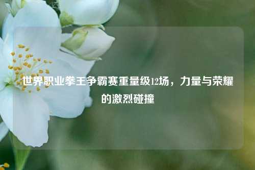 世界职业拳王争霸赛重量级12场,力量与荣耀的激烈碰撞