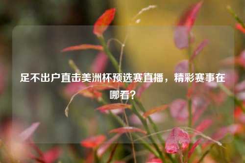 足不出户直击美洲杯预选赛直播,精彩赛事在哪看?