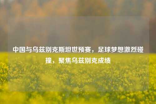 中国与乌兹别克斯坦世预赛,足球梦想激烈碰撞,聚焦乌兹别克成绩