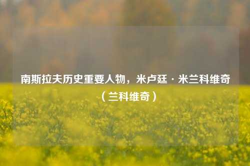南斯拉夫历史重要人物,米卢廷·米兰科维奇(兰科维奇)