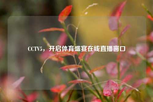 CCTV5,开启体育盛宴在线直播窗口