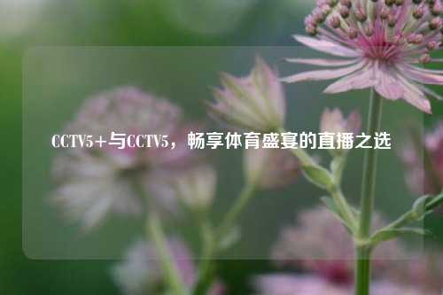 CCTV5+与CCTV5,畅享体育盛宴的直播之选