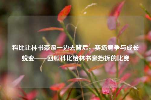 科比让林书豪滚一边去背后,赛场竞争与成长蜕变——回顾科比给林书豪挡拆的比赛
