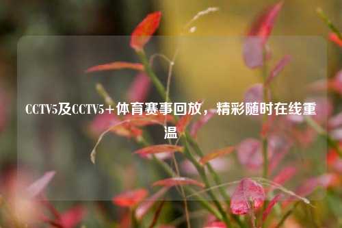 CCTV5及CCTV5+体育赛事回放,精彩随时在线重温