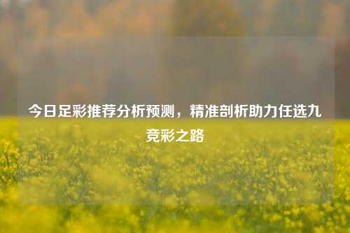 今日足彩推荐分析预测,精准剖析助力任选九竞彩之路