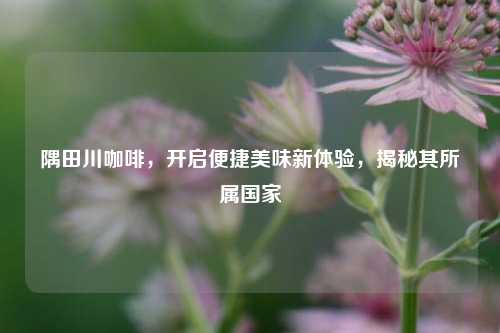 隅田川咖啡,开启便捷美味新体验,揭秘其所属国家