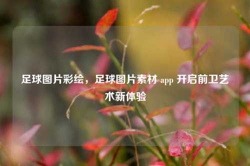 足球图片彩绘,足球图片素材 app 开启前卫艺术新体验