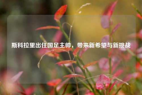 斯科拉里出任国足主帅,带来新希望与新挑战