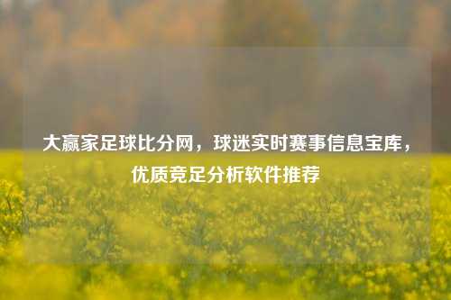大赢家足球比分网,球迷实时赛事信息宝库,优质竞足分析软件推荐