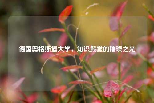 德国奥格斯堡大学,知识殿堂的璀璨之光