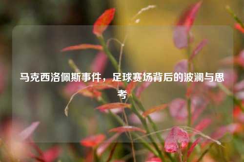 马克西洛佩斯事件,足球赛场背后的波澜与思考