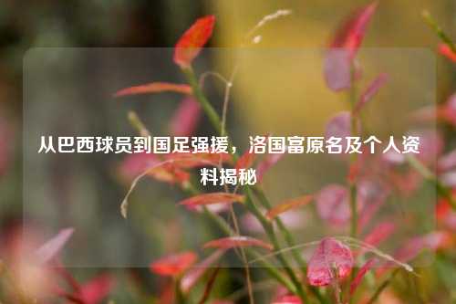 从巴西球员到国足强援,洛国富原名及个人资料揭秘