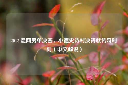 2012 温网男单决赛,小德史诗对决铸就传奇时刻(中文解说)