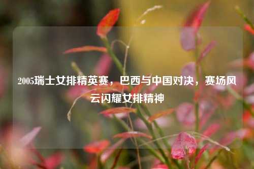 2005瑞士女排精英赛,巴西与中国对决,赛场风云闪耀女排精神